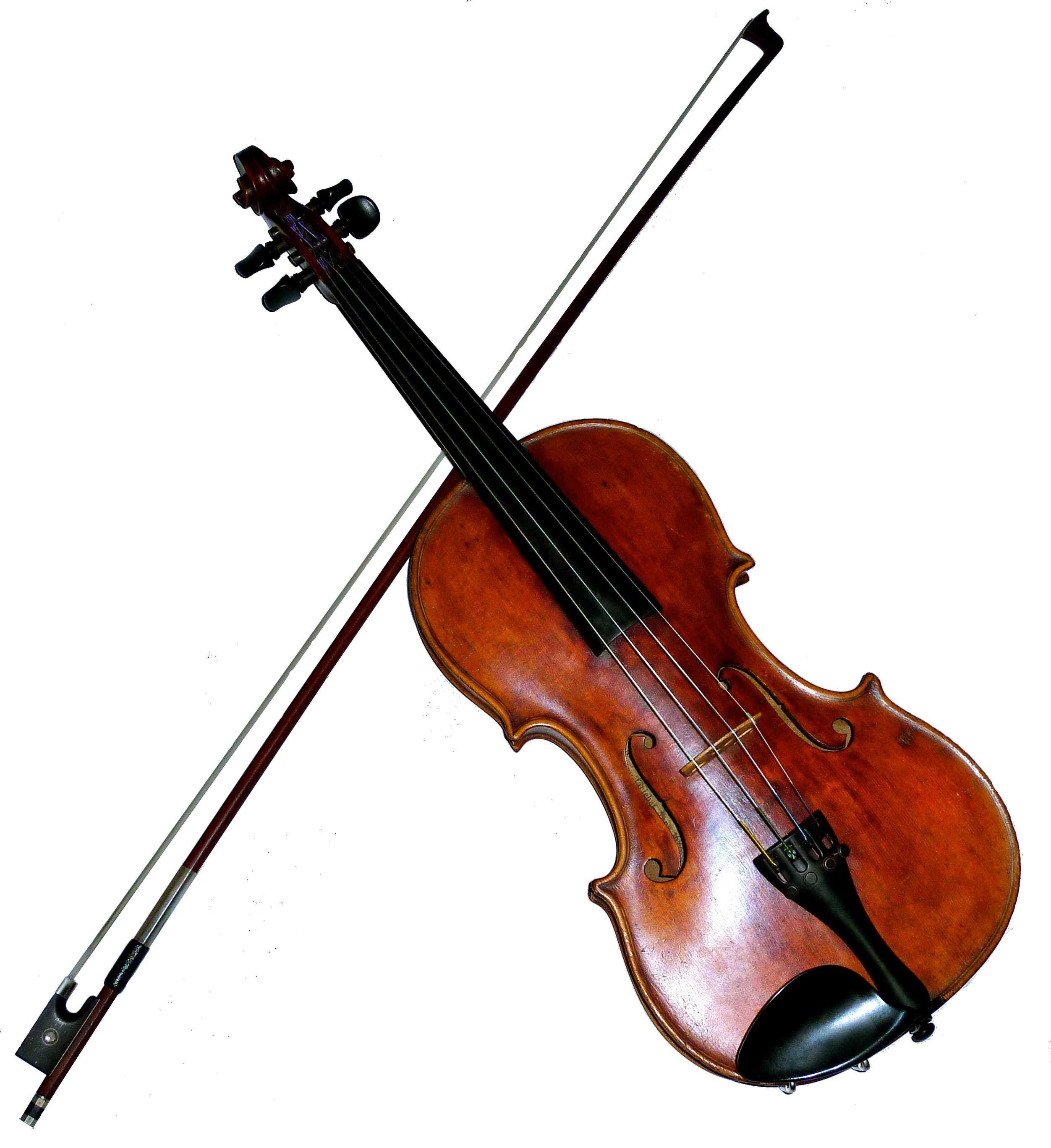 German maple Violin